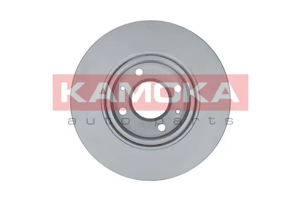 Brake Disc 1031094