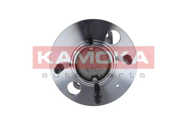 Wheel Bearing Kit 5500072