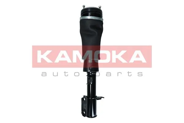 Air Suspension Strut 2070021