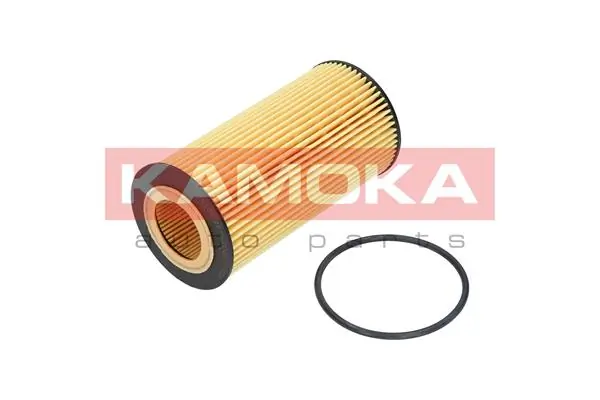 Oil Filter F110101