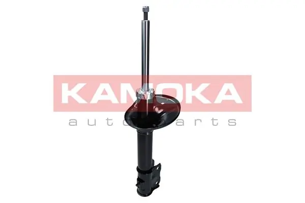 Shock Absorber 2000302