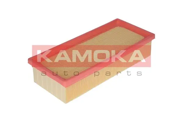 Air Filter F209601