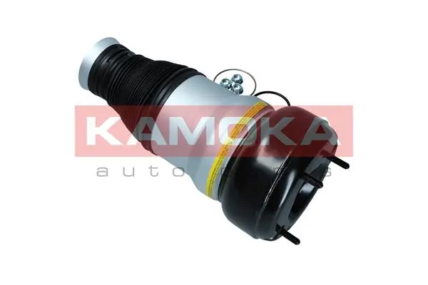 Air Spring, suspension 2079055