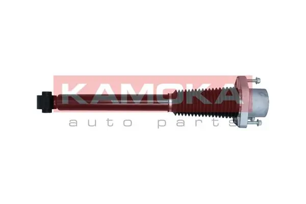 Air Suspension Strut 2070013