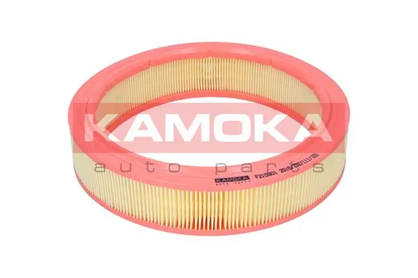 Air Filter F210901