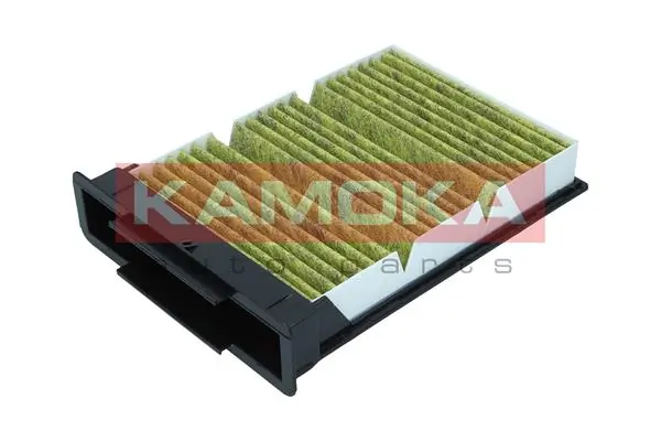 Filter, cabin air 6080121