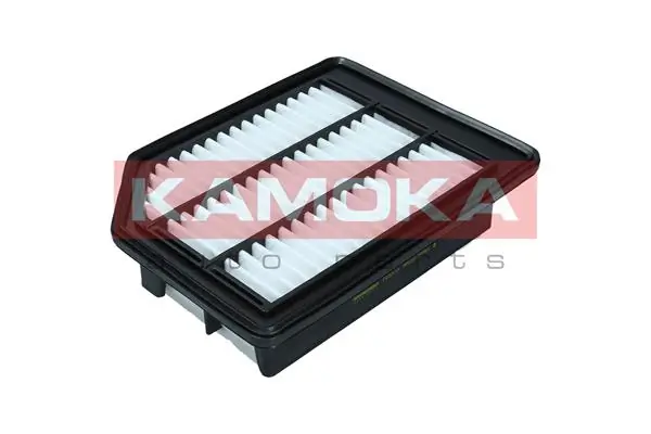 Air Filter F253101