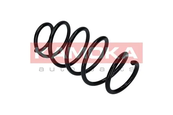 Suspension Spring 2110355