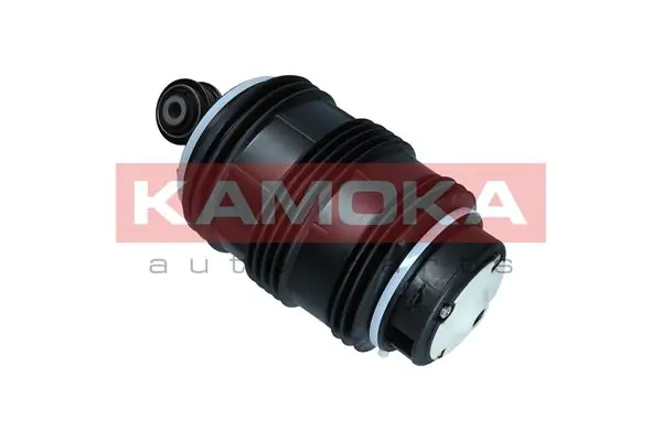 Air Spring, suspension 2079044