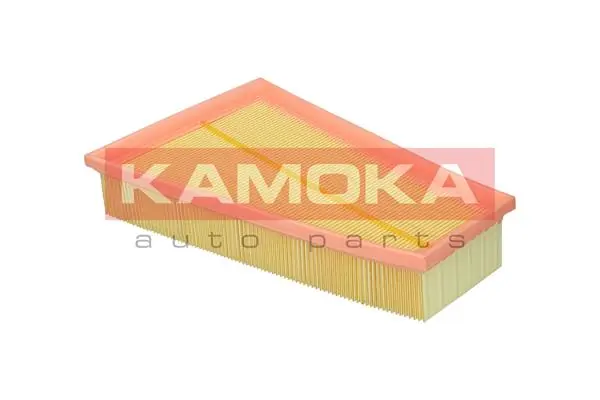 Air Filter F255901