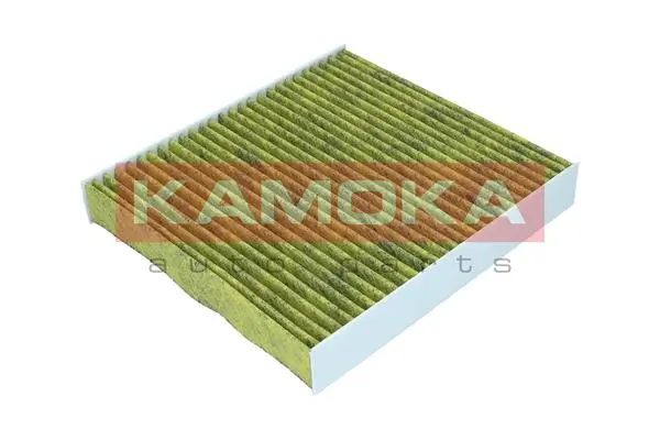 Filter, cabin air 6080153