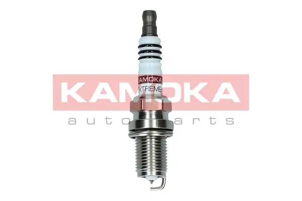 Spark Plug 7100060