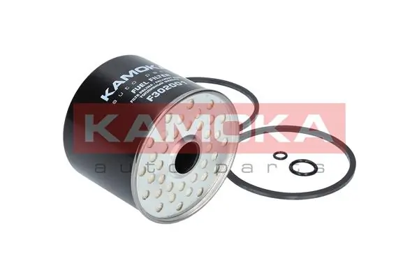 Fuel Filter F302001