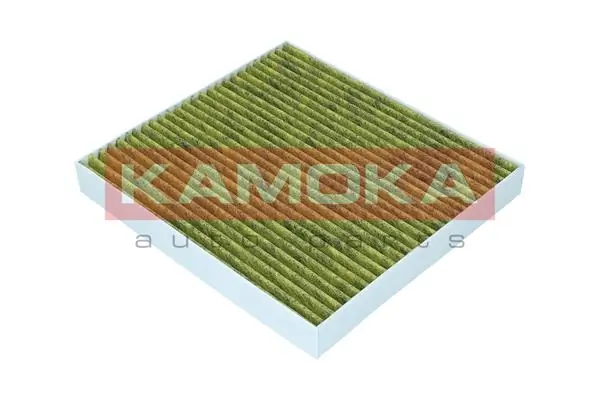 Filter, cabin air 6080034