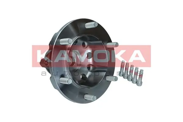 Wheel Bearing Kit 5500255