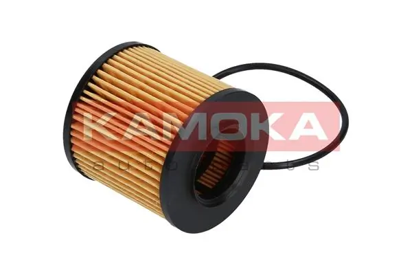 Oil Filter F109801