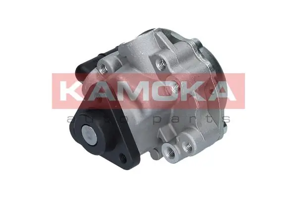 Hydraulic Pump, steering PP038