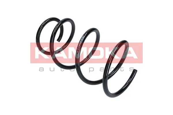 Suspension Spring 2110255