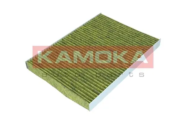 Filter, cabin air 6080081