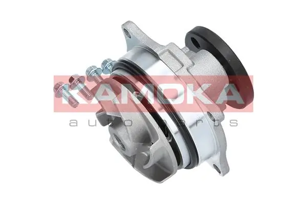 Water Pump, engine cooling T0129