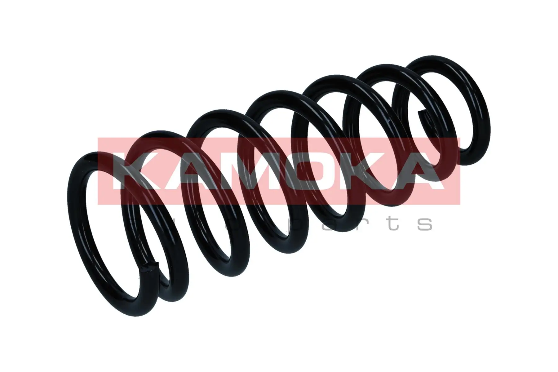 Suspension Spring 2120701