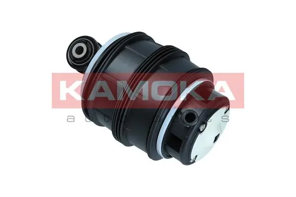 Air Spring, suspension 2079041
