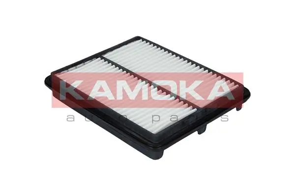 Air Filter F215401