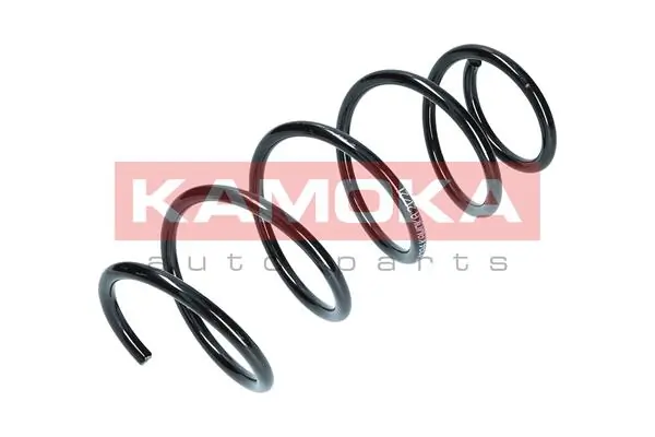 Suspension Spring 2110284