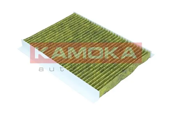 Filter, cabin air 6080134