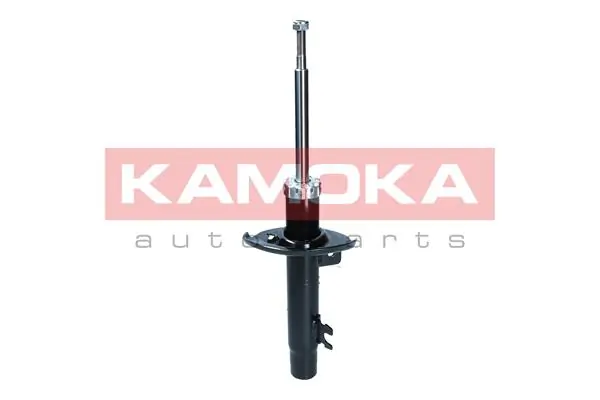Shock Absorber 2000171