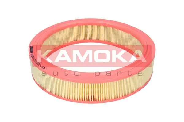 Air Filter F210901