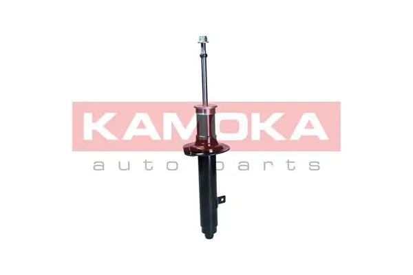 Shock Absorber 2001167