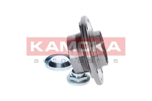 Wheel Bearing Kit 5500007