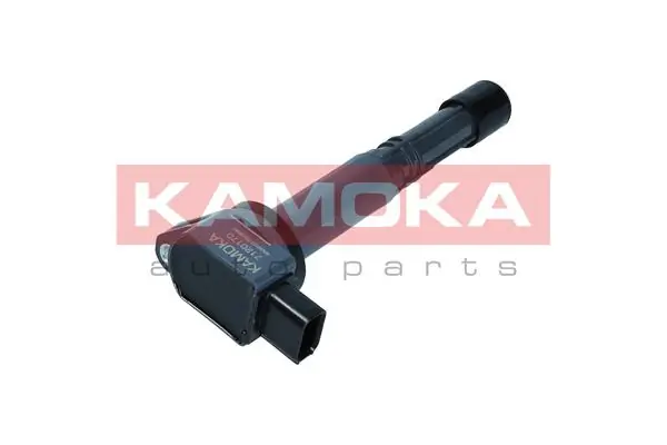 Ignition Coil 7120170