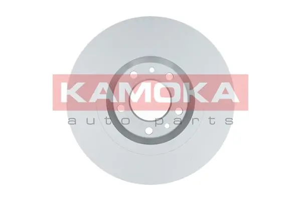 Brake Disc 1032550