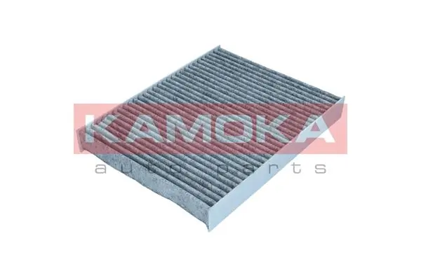 Filter, cabin air F502801