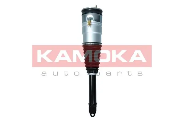 Air Suspension Strut 2070005