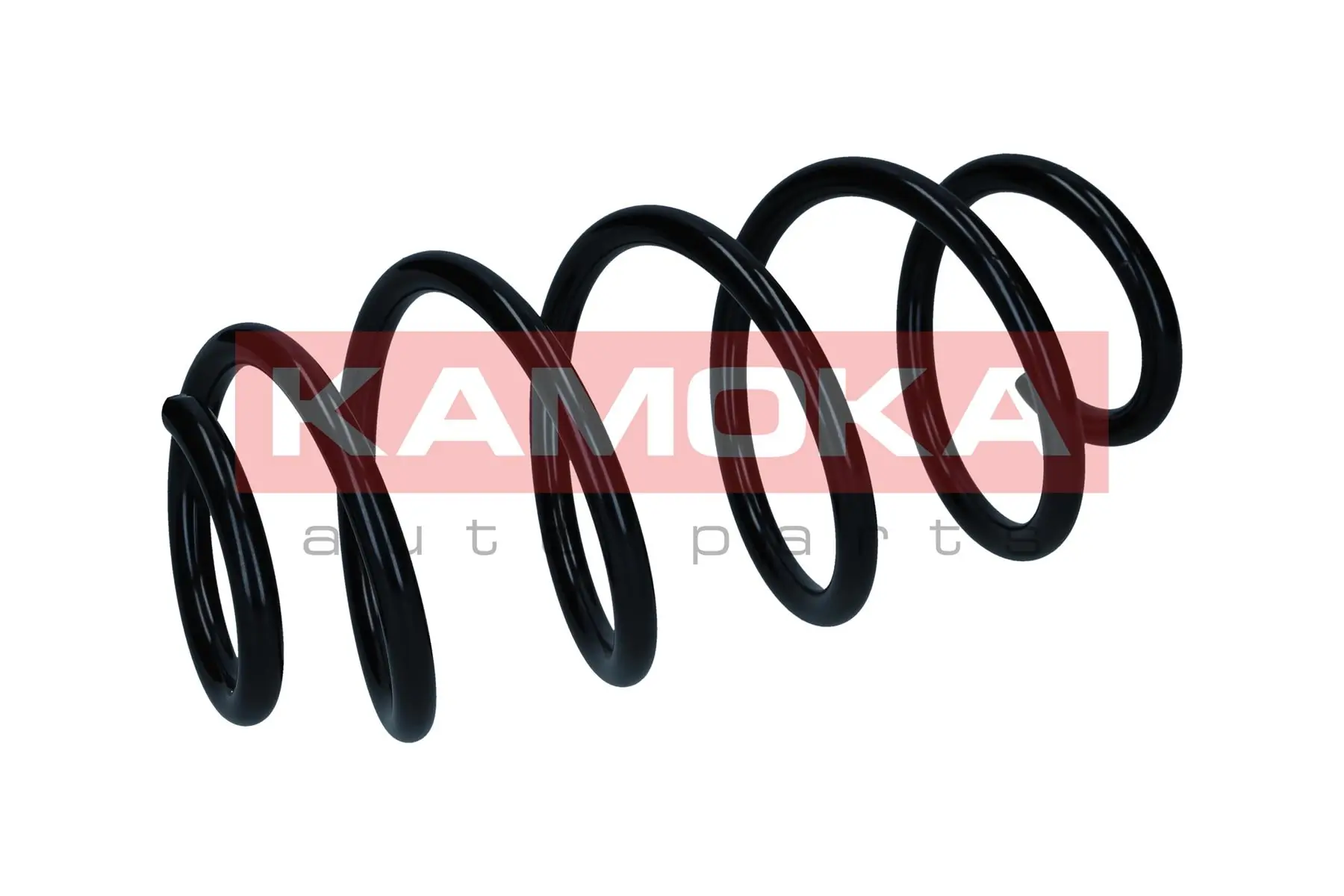 Suspension Spring 2110738