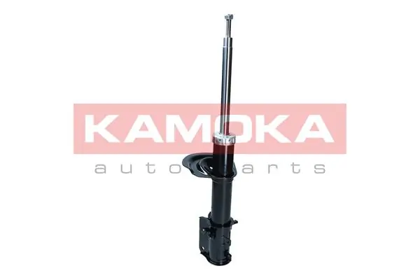 Shock Absorber 2000062
