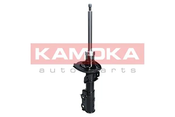 Shock Absorber 2000270