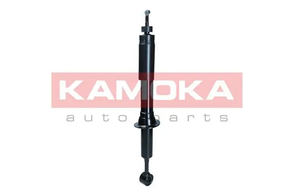 Shock Absorber 2001284