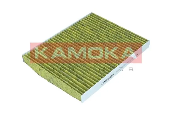 Filter, cabin air 6080092