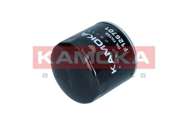 Oil Filter F126701