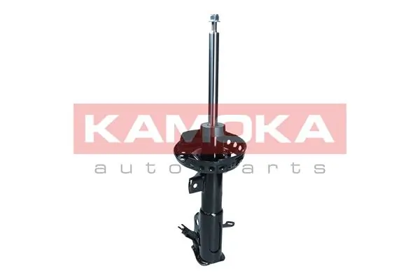 Shock Absorber 2001096