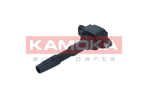 Ignition Coil 7120119