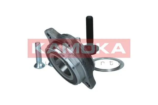 Wheel Bearing Kit 5500176