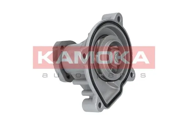 Water Pump, engine cooling T0272