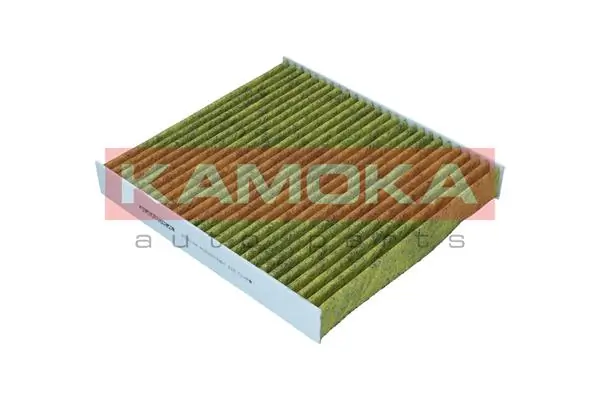 Filter, cabin air 6080184