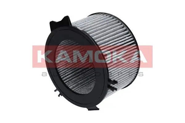 Filter, cabin air F501301