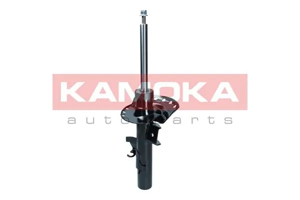 Shock Absorber 2000570